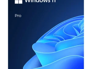 Windows 11 Pro