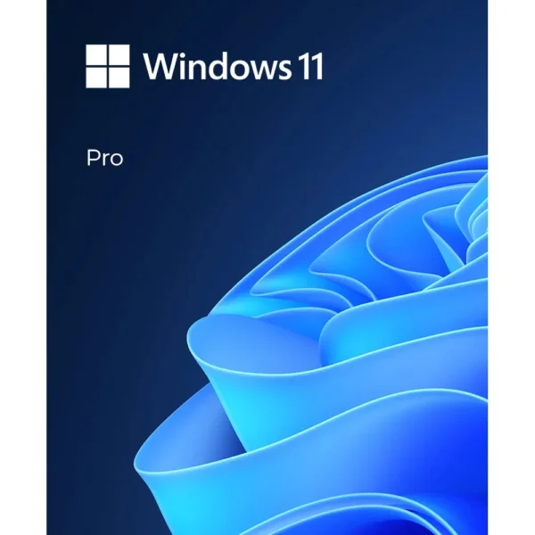 Windows 11 Pro