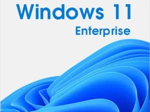 Windows 11 Business/Enterprise