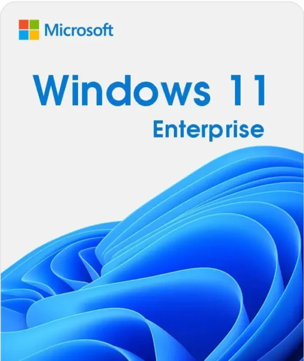 Windows 11 Business/Enterprise