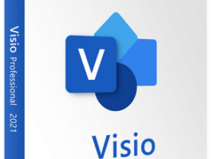 Microsoft Visio Pro 2021