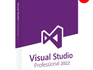 Microsoft Visio Pro 2022